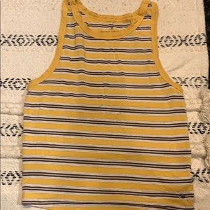 STRIPED AMERICAN EAGLE